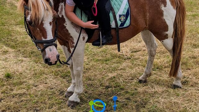 Ferienspiele: Ponyzeit